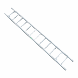 Ladder 3,00 m - RMS.LAD.001.300
