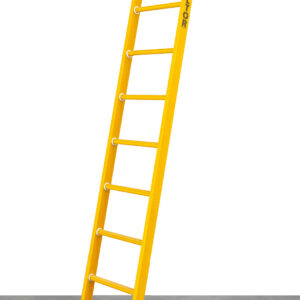 Alga Kunststof enkele ladder 12 sporten