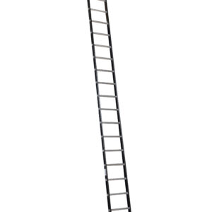 Alga ALPINE Enkele ladder met ladderhaken 1x22