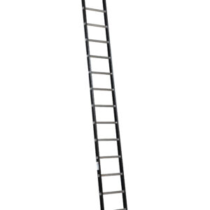 Alga ALPINE Enkele ladder met ladderhaken 1x16