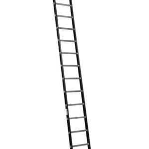 Alga ALPINE Enkele ladder met ladderhaken 1x14