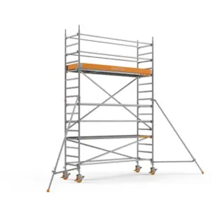 Rolsteiger Standard 550 Wand 285x75x470cm